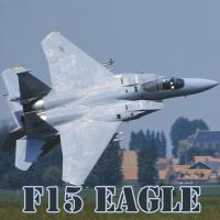 Game F15 Eagle Slide